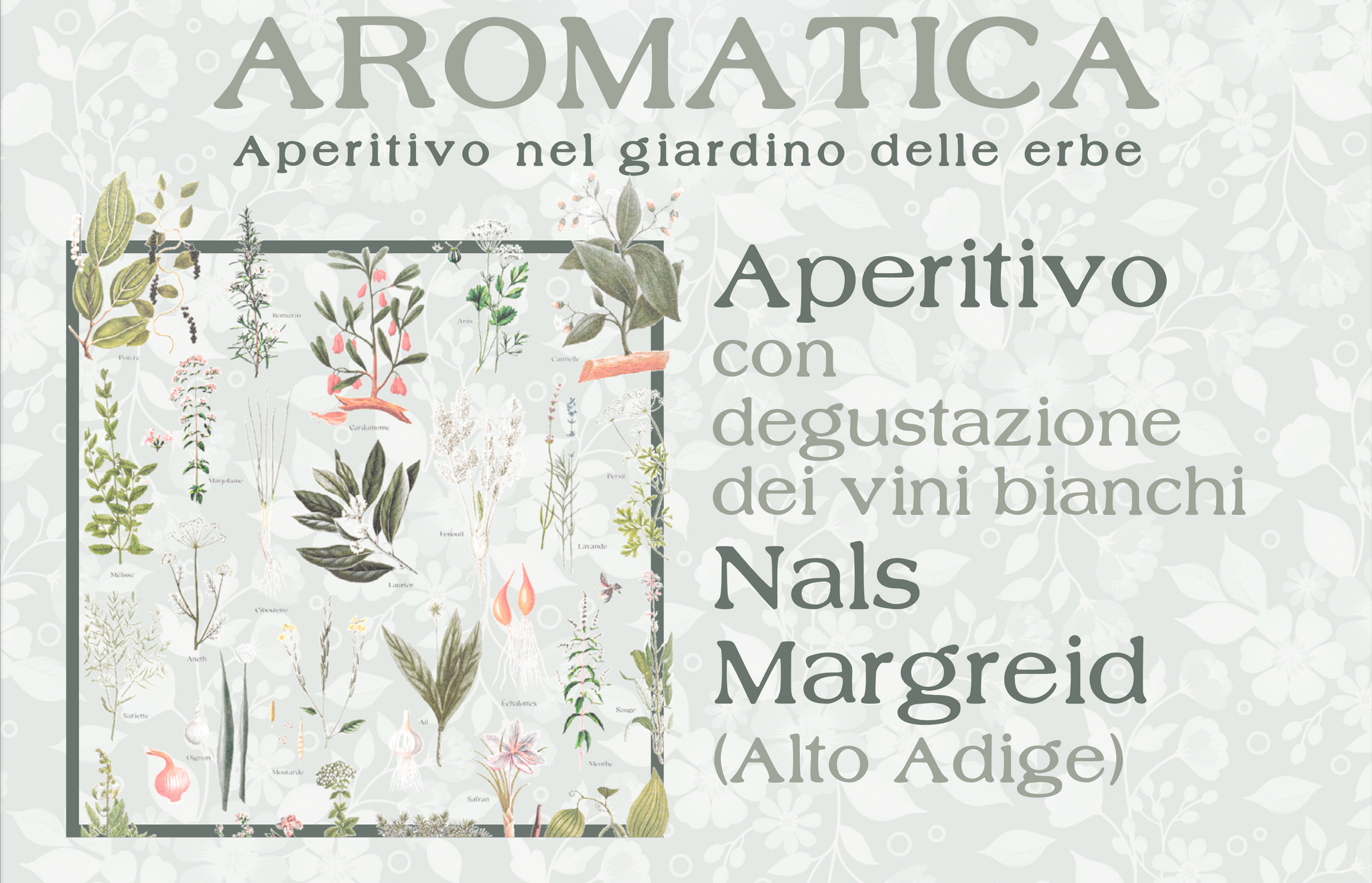 AROMATICA - Aperitivo nel giardino delle erbe