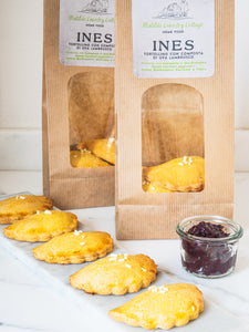 INES